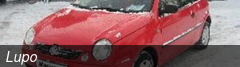 Lupo