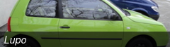 Lupo