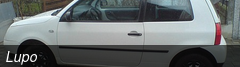 Lupo