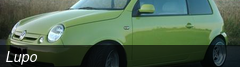 Lupo