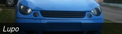 Lupo