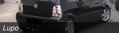 Lupo