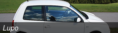 Lupo
