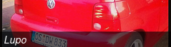 Lupo