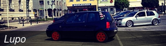 Lupo
