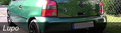 Lupo