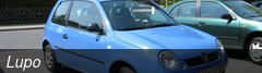 Lupo