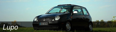 Lupo