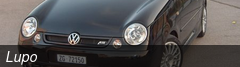 Lupo