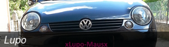 Lupo