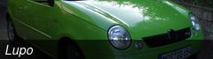 Lupo