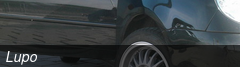 Lupo