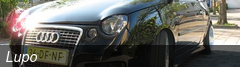Lupo