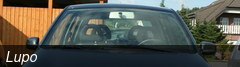 Lupo