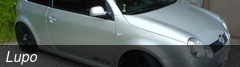 Lupo