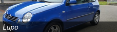 Lupo