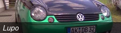 Lupo