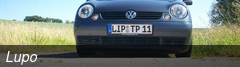 Lupo