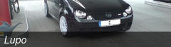 Lupo