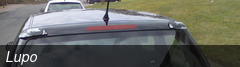Lupo