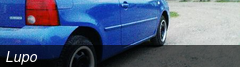 Lupo