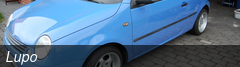 Lupo
