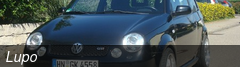 Lupo