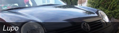 Lupo